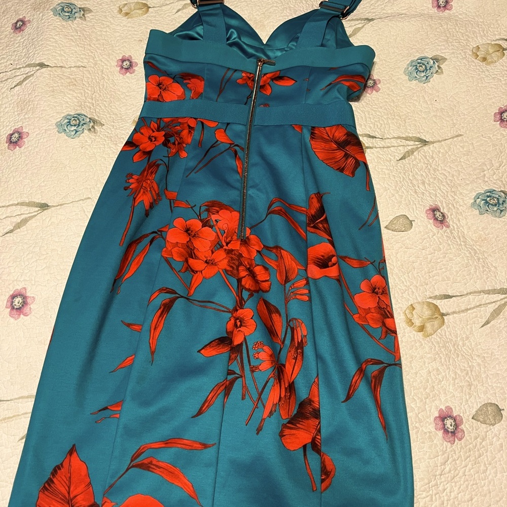 Ted Baker London teal dress w/ red flowers. Ted size 1, US size 3. Good used.